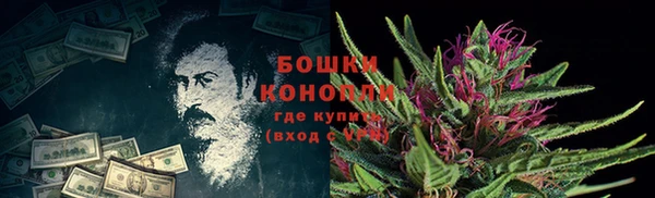 крисы Козловка