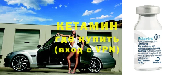 прущие грибы Костерёво