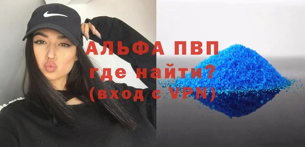 прущие грибы Костерёво