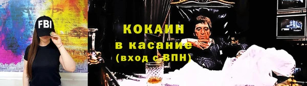 прущие грибы Костерёво