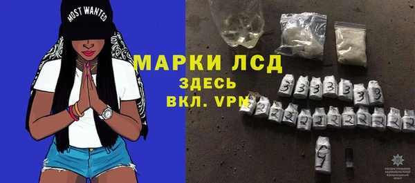 прущие грибы Костерёво